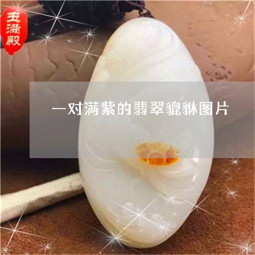 一对满紫的翡翠貔貅图片/2023111505059