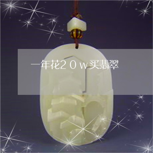 一年花20w买翡翠/2023040101704