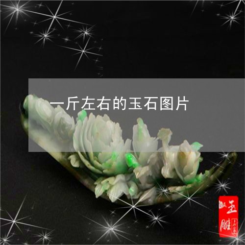 一斤左右的玉石图片/2023040116138