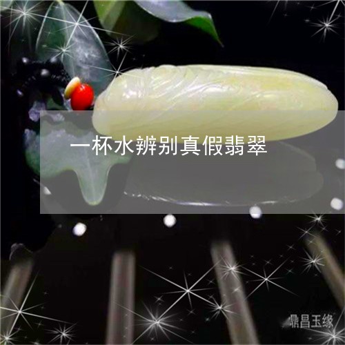 一杯水辨别真假翡翠/2023033124828