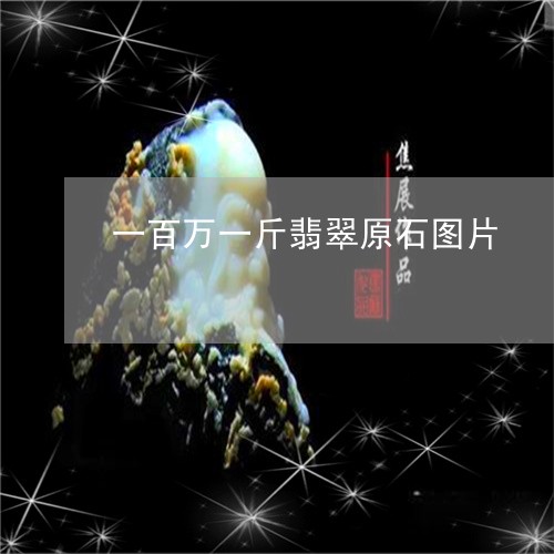 一百万一斤翡翠原石图片/2023070904927