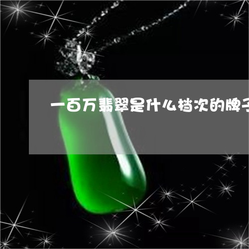 一百万翡翠是什么档次的牌子/2023100696482