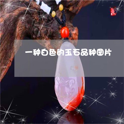 一种白色的玉石品种图片/2023070933724