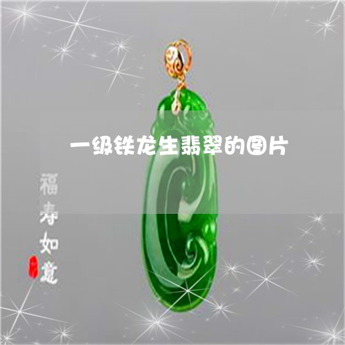 一级铁龙生翡翠的图片/2023082597393