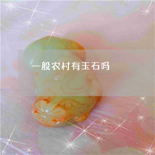 一般农村有玉石吗/2023052122836