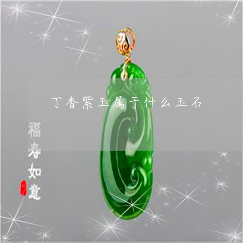 丁香紫玉属于什么玉石/2023041099573