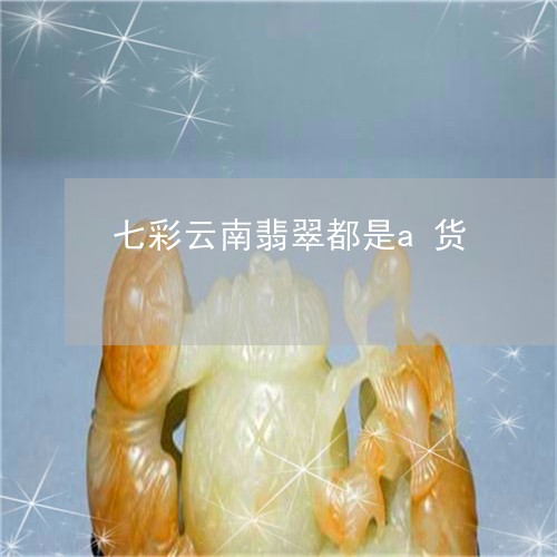 七彩云南翡翠都是a货/2023082679373