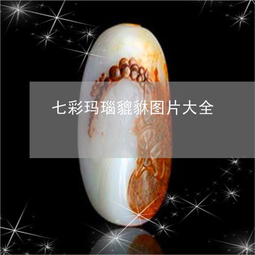 七彩玛瑙貔貅图片大全/2023041018192