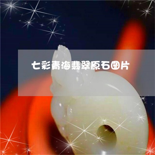 七彩青海翡翠原石图片/2023082672815