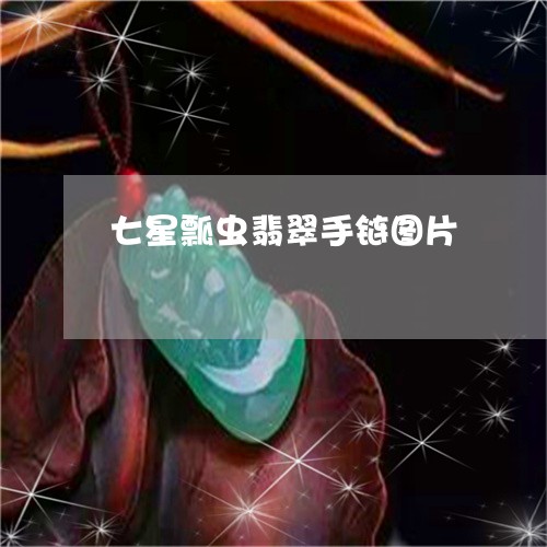 七星瓢虫翡翠手链图片/2023082604726