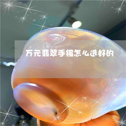 万元翡翠手镯怎么选好的/2023070846149