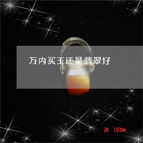 万内买玉还是翡翠好/2023100108059