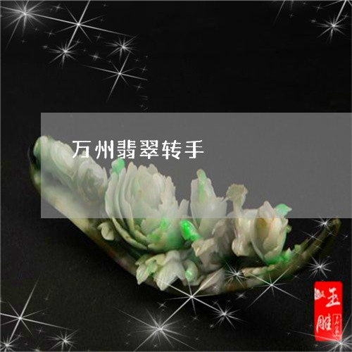 万州翡翠转手/2023080132484