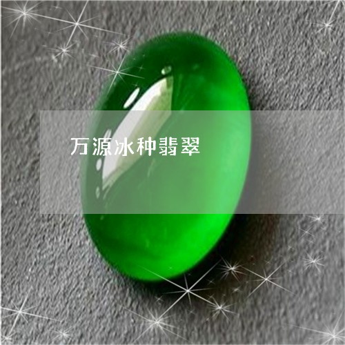 万源冰种翡翠/2023080192594