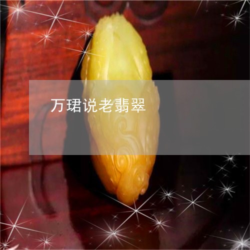 万珺说老翡翠/2023080151594