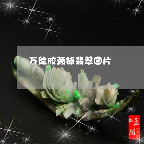 万能胶颈链翡翠图片/2023120558392