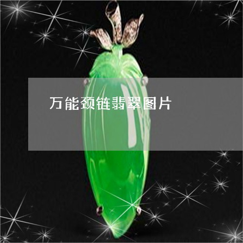 万能颈链翡翠图片/2023120491717