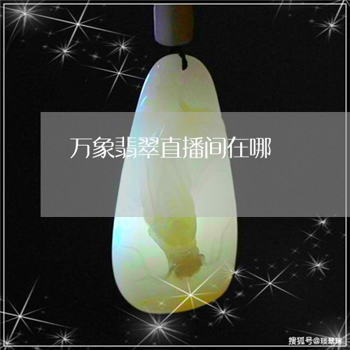 万象翡翠直播间在哪/2023120526280