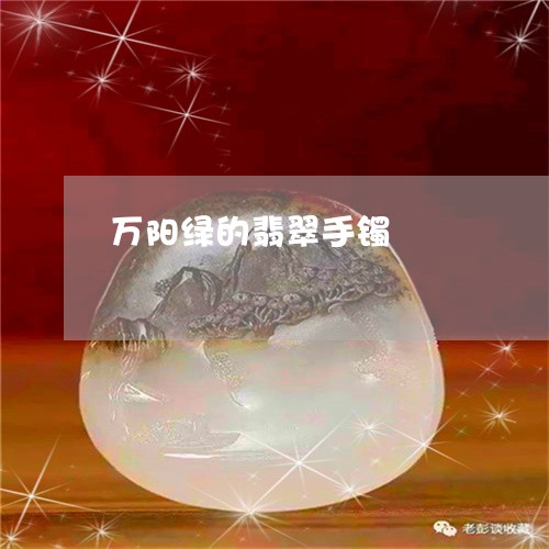 万阳绿的翡翠手镯/2023093095838