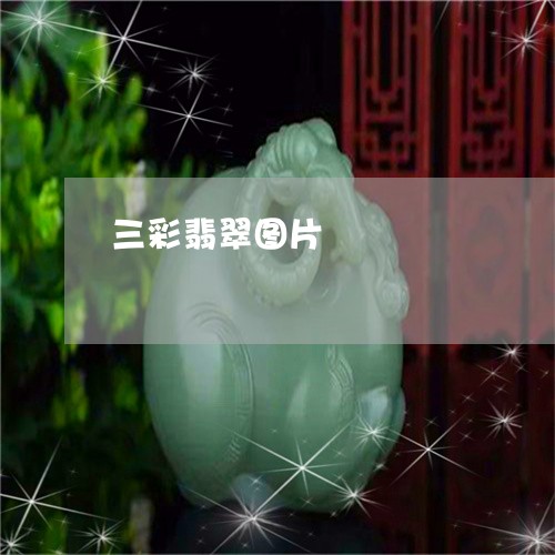 三彩翡翠图片/2023080112692