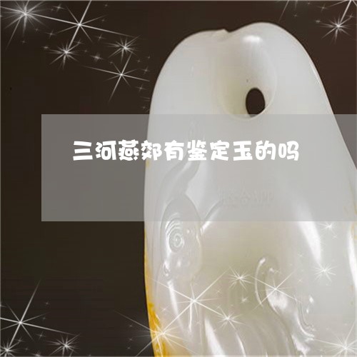 三河燕郊有鉴定玉的吗/2023051120615