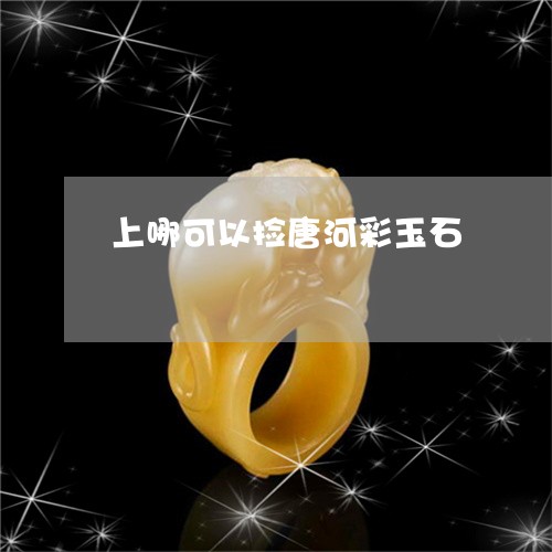 上哪可以捡唐河彩玉石/2023041127361