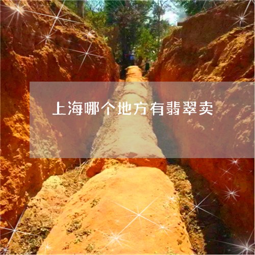 上海哪个地方有翡翠卖/2023041100404