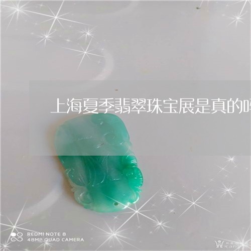 上海夏季翡翠珠宝展是真的吗/2023100650406