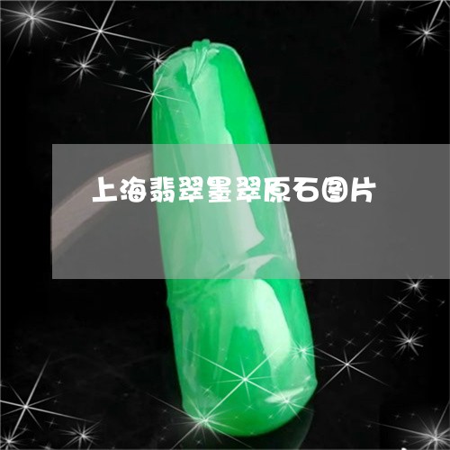 上海翡翠墨翠原石图片/2023041110603