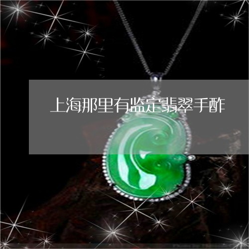 上海那里有监定翡翠手酢/2023070820604