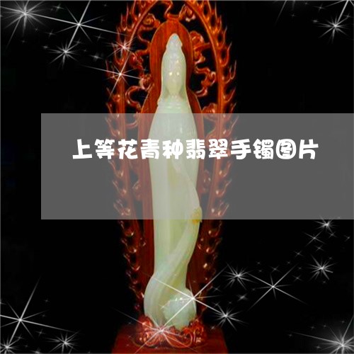 上等花青种翡翠手镯图片/2023070893926