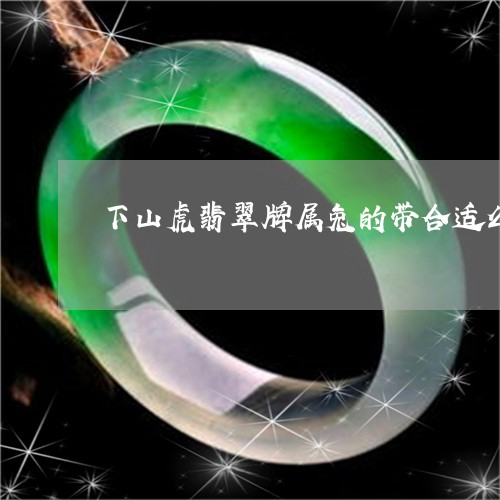 下山虎翡翠牌属兔的带合适么/2023100635848