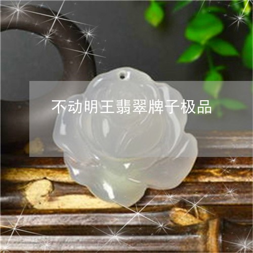 不动明王翡翠牌子极品/2023061546283