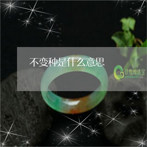 不变种是什么意思/2023042826240