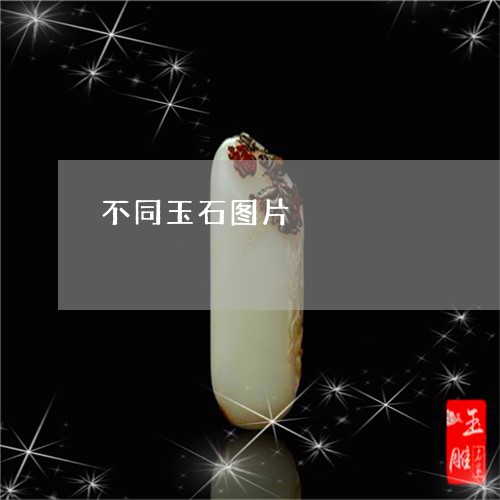 不同玉石图片/2023080111593