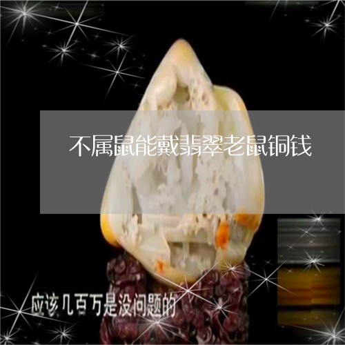 不属鼠能戴翡翠老鼠铜钱/2023070822926