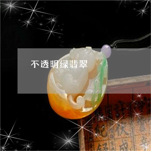 不透明绿翡翠/2023080179493