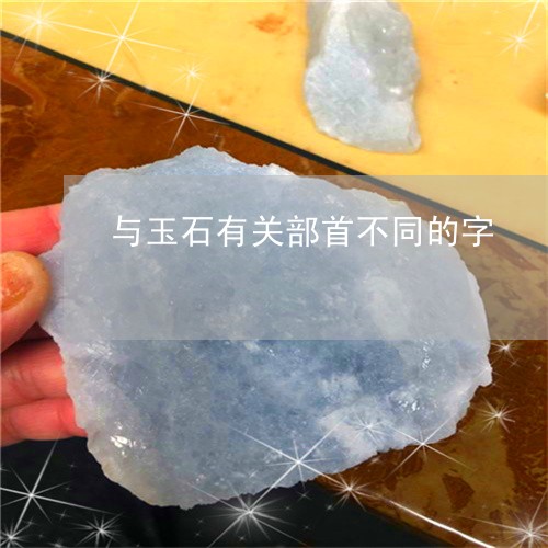 与玉石有关部首不同的字/2023070832858