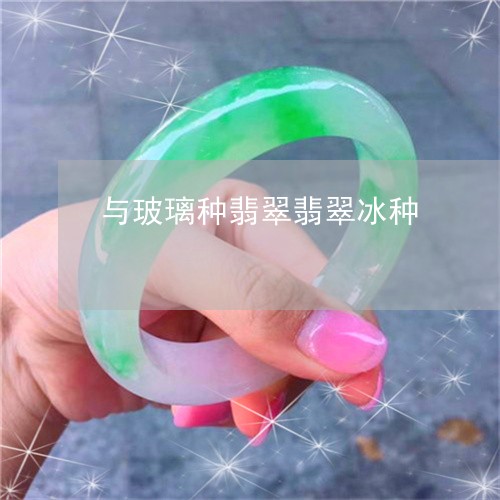 与玻璃种翡翠翡翠冰种/2023041122502