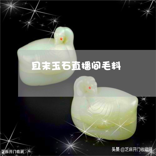 且末玉石直播间毛料/2023093014835