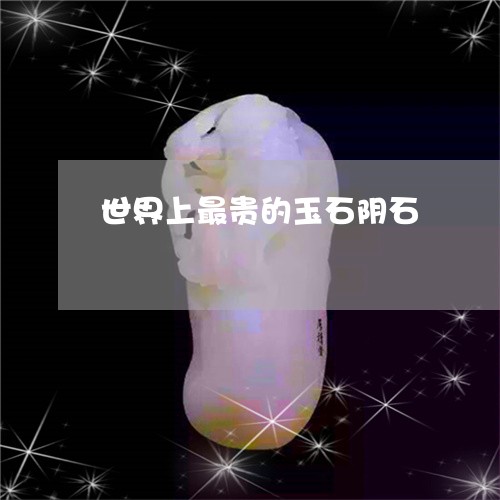 世界上最贵的玉石阴石/2023041159370