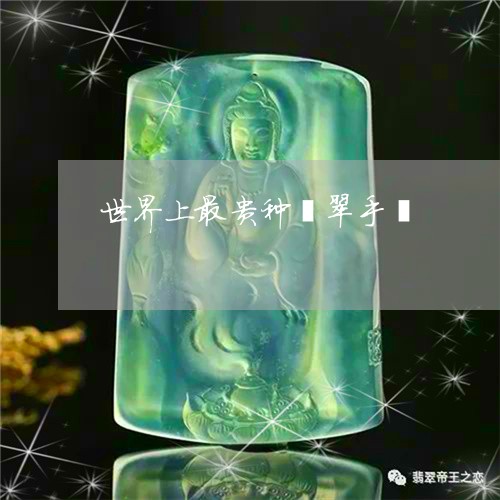 世界上最贵种翡翠手镯/2023041178389