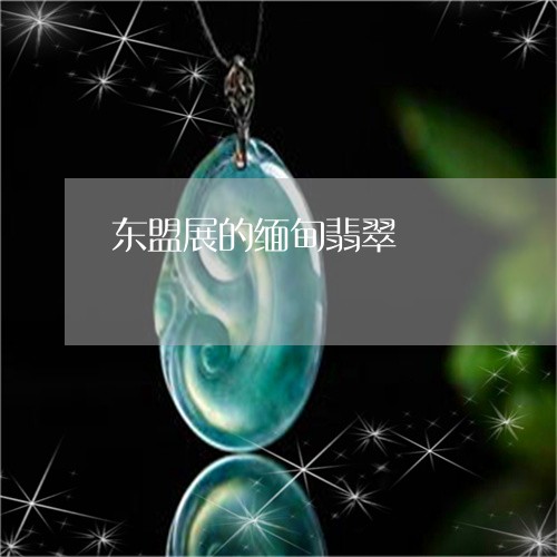 东盟展的缅甸翡翠/2023042858682