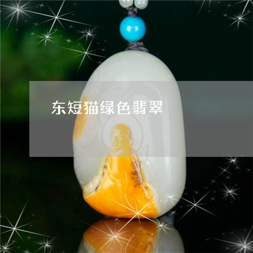 东短猫绿色翡翠/2023092971682