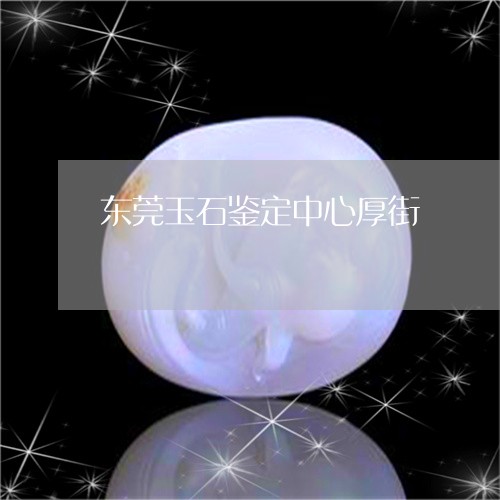 东莞玉石鉴定中心厚街/2023051124958