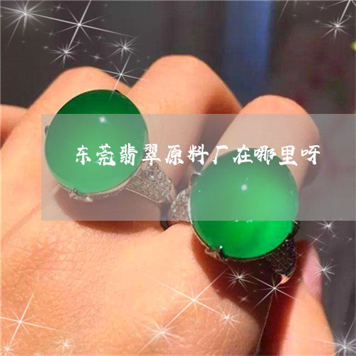 东莞翡翠原料厂在哪里呀/2023070809373