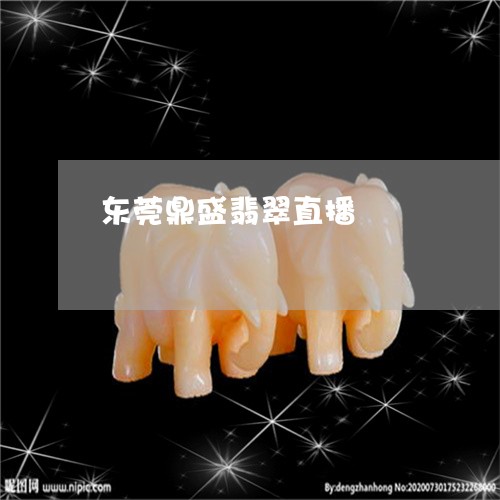 东莞鼎盛翡翠直播/2023111513868