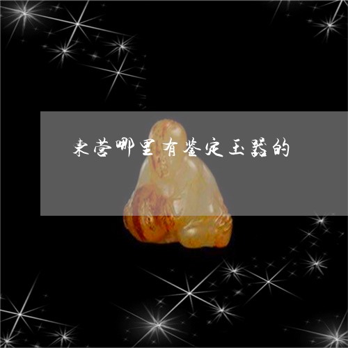 东营哪里有鉴定玉器的/2023051187148