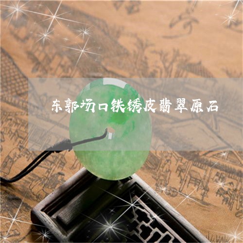 东郭场口铁锈皮翡翠原石/2023070804060