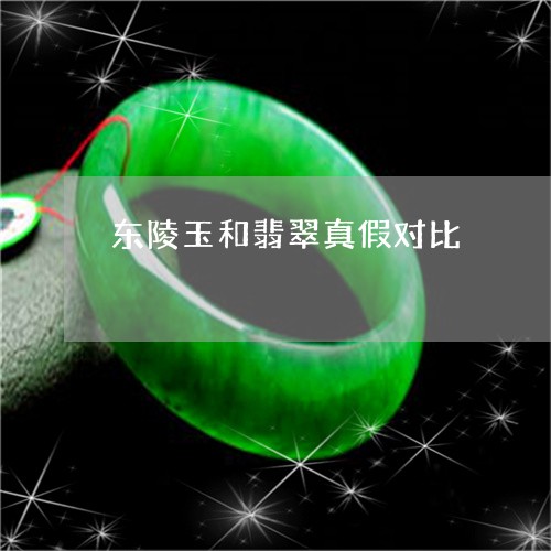 东陵玉和翡翠真假对比/2023041084258